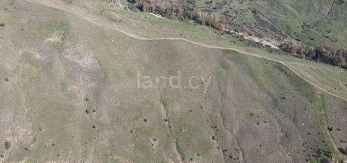 Αγροτικό αγροτεμάχιο προς πώληση - Πάφος