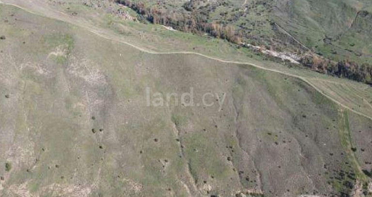Agricultural field for sale in Paphos
