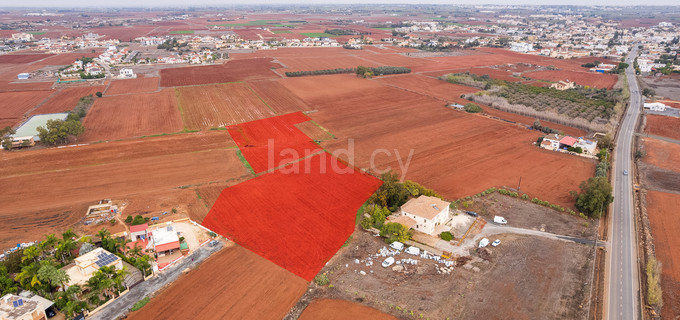 Residential field for sale in Liopetri