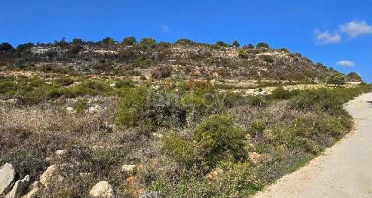 Terrain agricole à vendre à Limassol