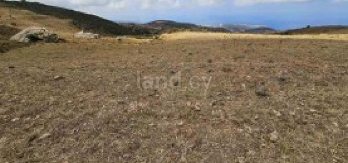 Agricultural field for sale in Paphos