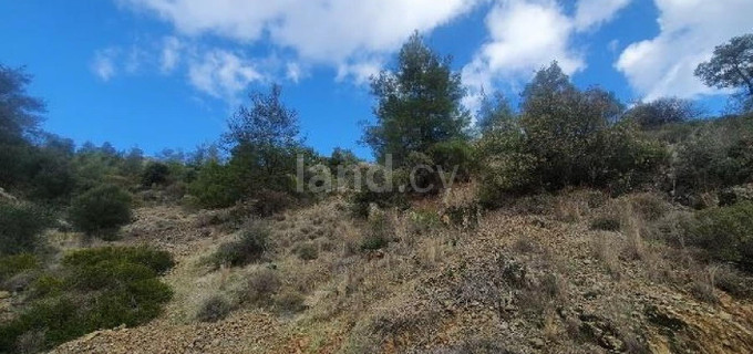 Campo agrícola a la venta en Nicosia