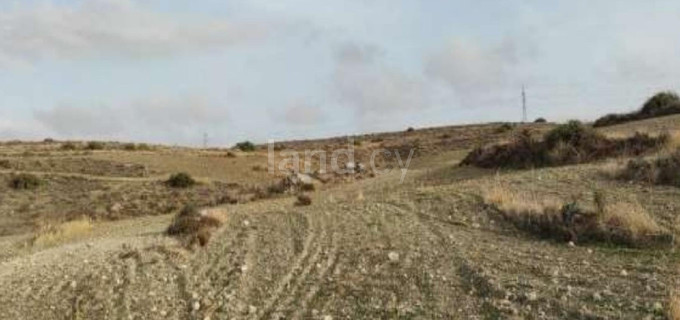 Agricultural field for sale in Nicosia