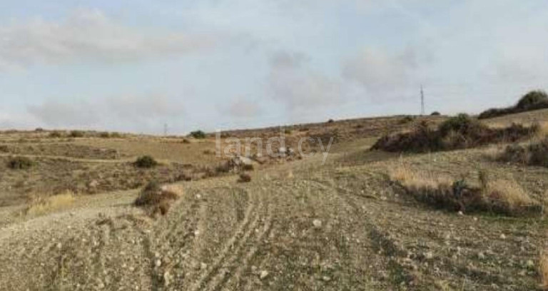 Terrain agricole à vendre à Nicosie