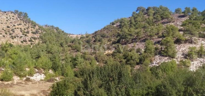 Landwirtschaftliches Baugebiet in Limassol zu verkaufen