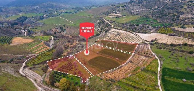 Campo agrícola a la venta en Paphos