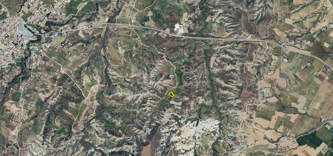 Agricultural field for sale in Nicosia