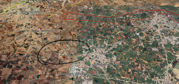 Agricultural field for sale in Frenaros