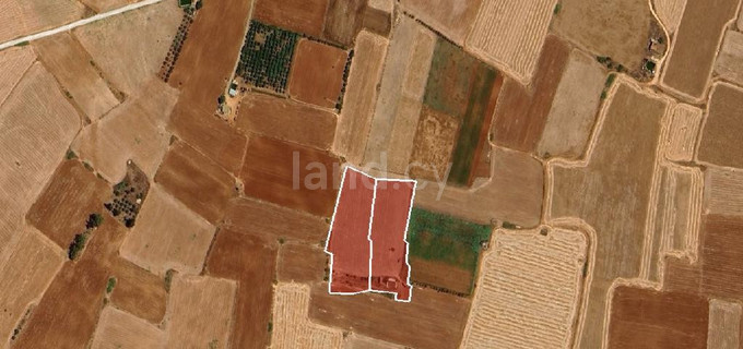 Jordbruksfält till salu i Avgorou