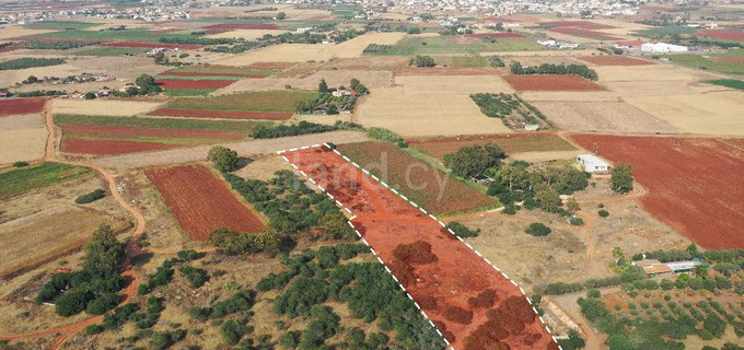 Αγροτικό αγροτεμάχιο προς πώληση - Λιοπέτρι