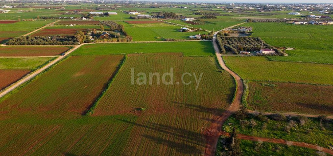 Сельскохозяйственное поле на продажу в Ларнака