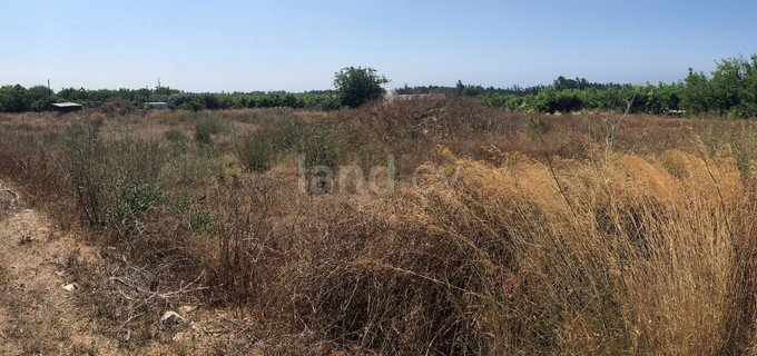 Plot for sale in Paphos