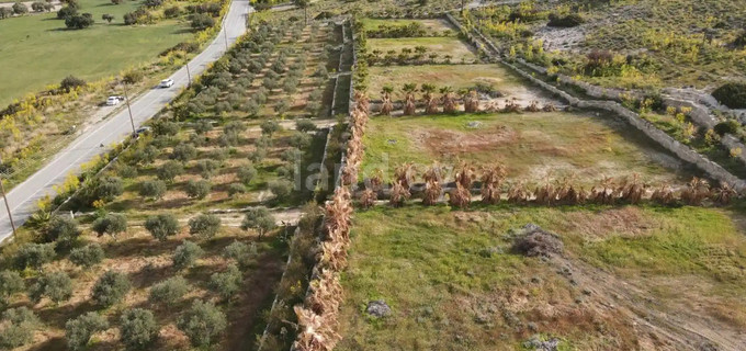 Сельскохозяйственное поле на продажу в Ларнака