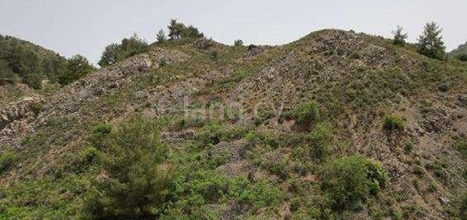 Terrain résidentiel à vendre à Nicosie