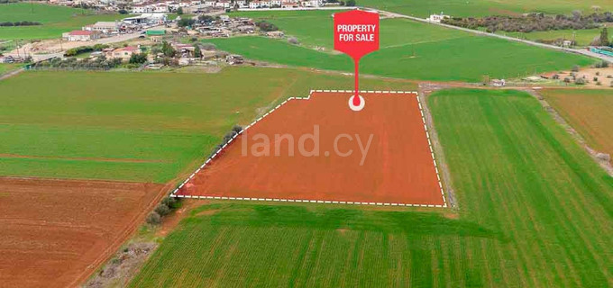 Residential field for sale in Frenaros