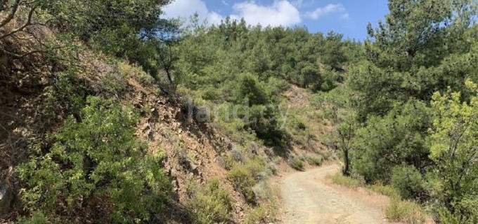 Αγροτικό αγροτεμάχιο προς πώληση - Λευκωσία