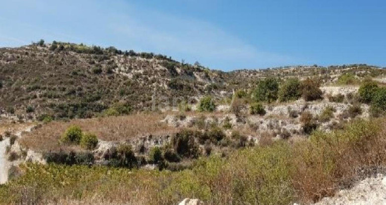 Agricultural field for sale in Limassol