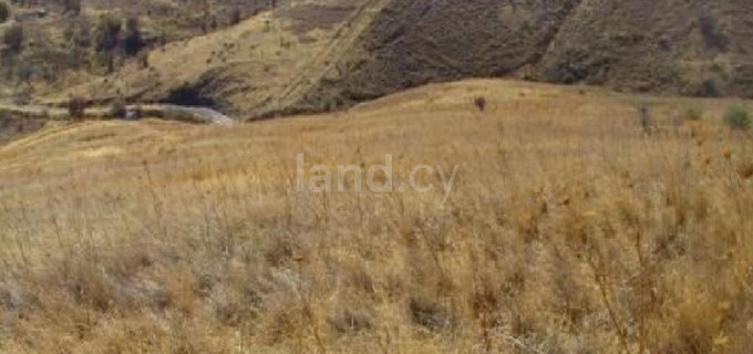 Αγροτικό αγροτεμάχιο προς πώληση - Πάφος