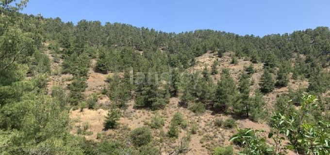 Αγροτικό αγροτεμάχιο προς πώληση - Λευκωσία