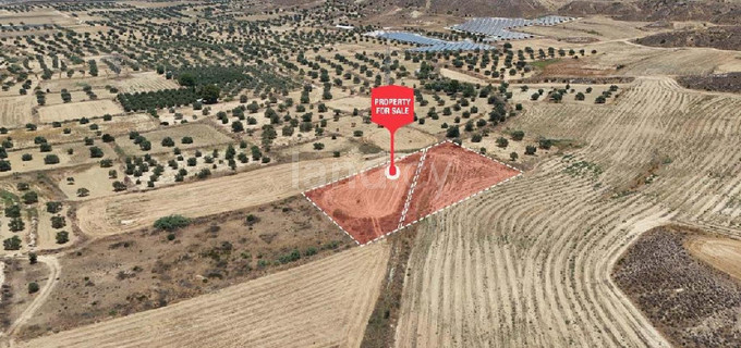 Сельскохозяйственное поле на продажу в Никосия