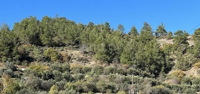 Сельскохозяйственное поле на продажу в Никосия