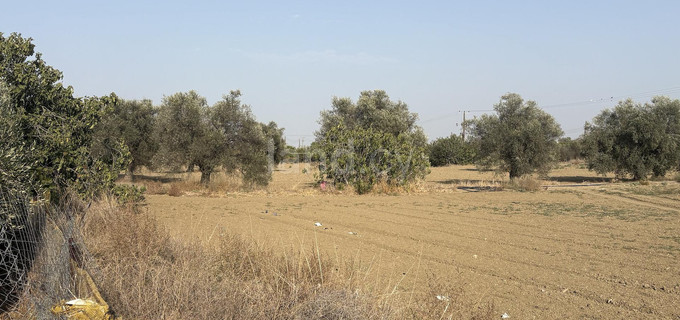 Wohngebiet in Nicosia zu verkaufen