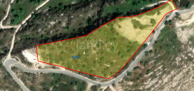 Οικόπεδο προς πώληση - Πάφος