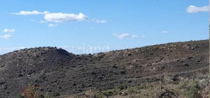 Jordbruksfält till salu i Limassol