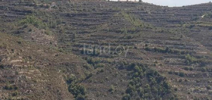 Terrain agricole à vendre à Limassol