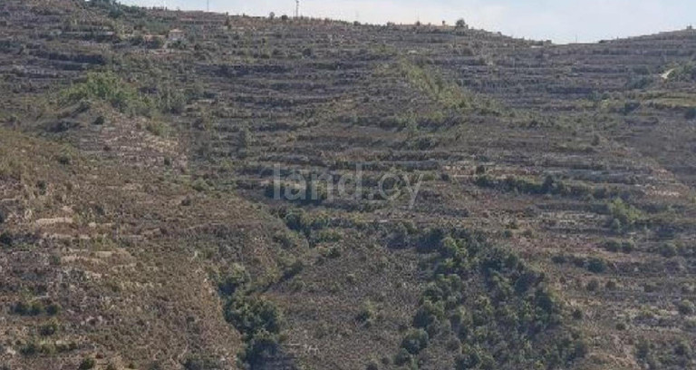 Campo agrícola a la venta en Limassol