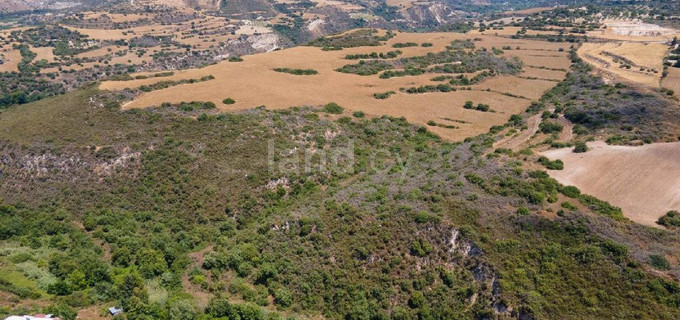 Campo agrícola a la venta en Paphos