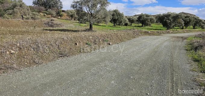 Agricultural field for sale in Nicosia