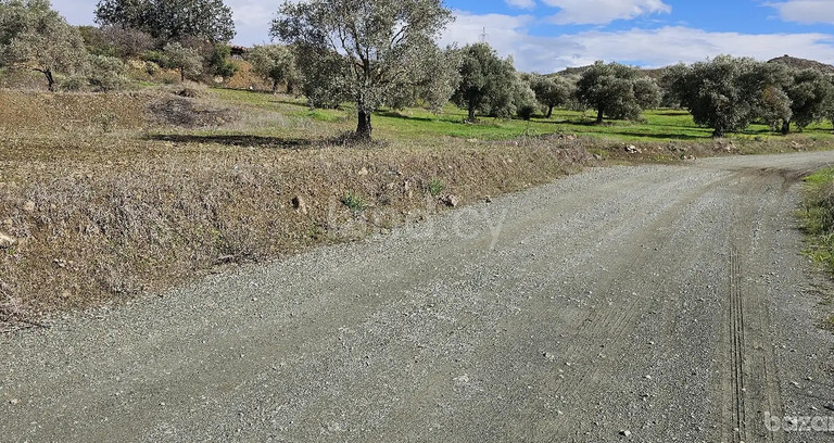 Agricultural field for sale in Nicosia