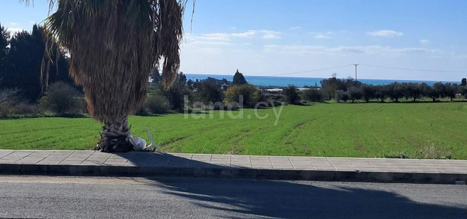 Residential field for sale in Paphos