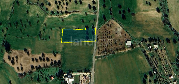 Jordbruksfält till salu i Larnaca