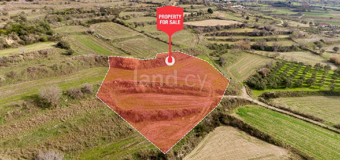 Campo agrícola a la venta en Paphos