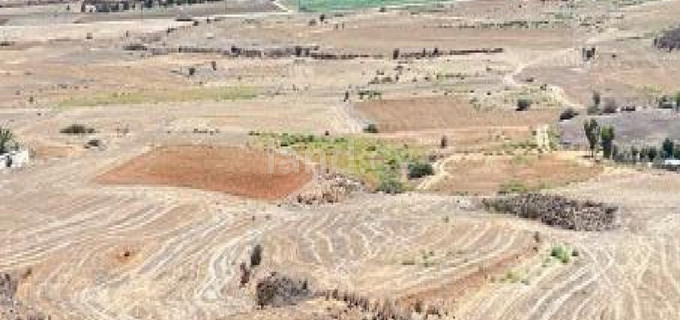 Campo agrícola a la venta en Nicosia