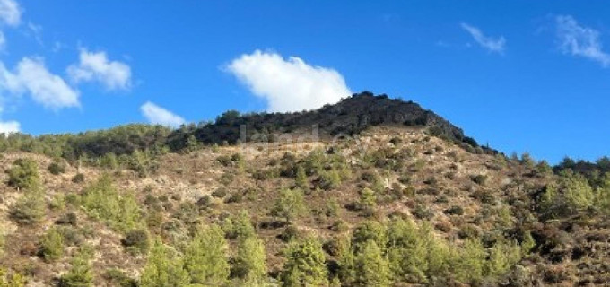 Campo agrícola a la venta en Nicosia