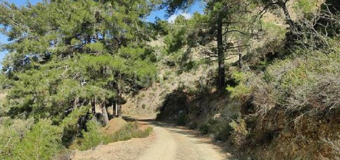 Residential field for sale in Nicosia