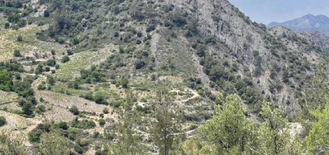 Agricultural field for sale in Nicosia