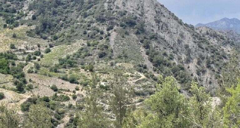 Αγροτικό αγροτεμάχιο προς πώληση - Λευκωσία