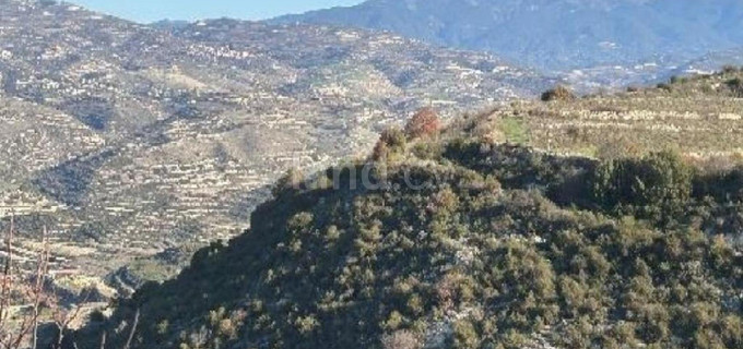 Campo agrícola a la venta en Limassol