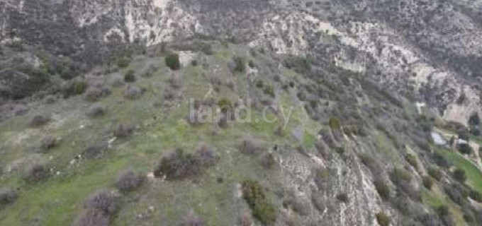 Campo agrícola a la venta en Paphos
