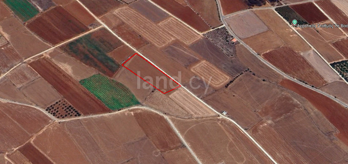 Agricultural field for sale in Nicosia