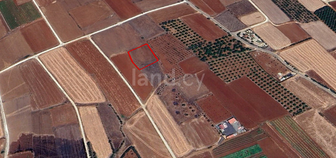 Agricultural field for sale in Nicosia