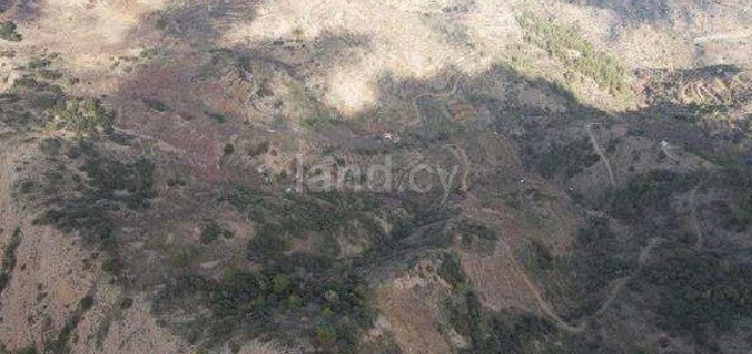 Agricultural field for sale in Nicosia