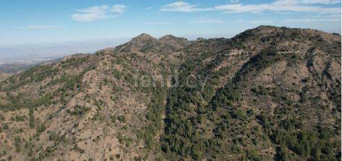 Agricultural field for sale in Nicosia