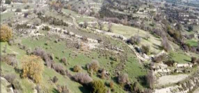 Αγροτικό αγροτεμάχιο προς πώληση - Λεμεσός