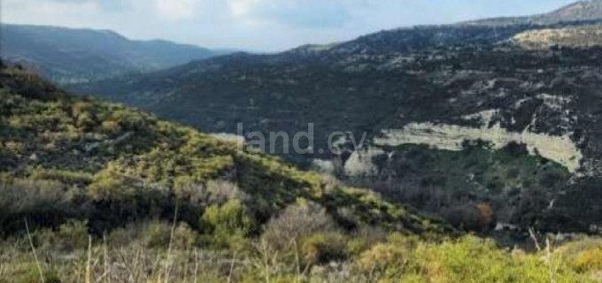 Αγροτικό αγροτεμάχιο προς πώληση - Λεμεσός