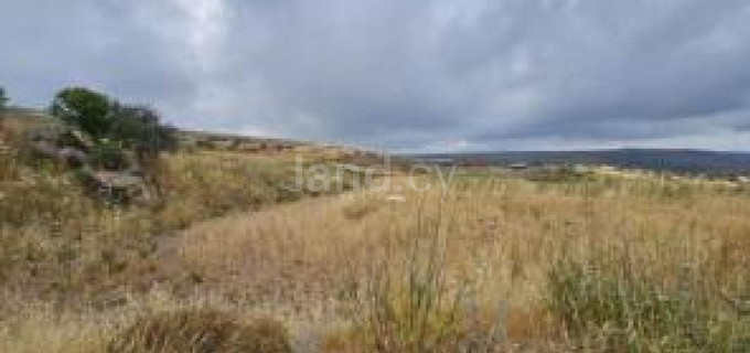 Αγροτικό αγροτεμάχιο προς πώληση - Πάφος